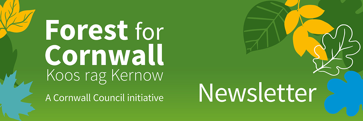 Forest for Cornwall Newsletter